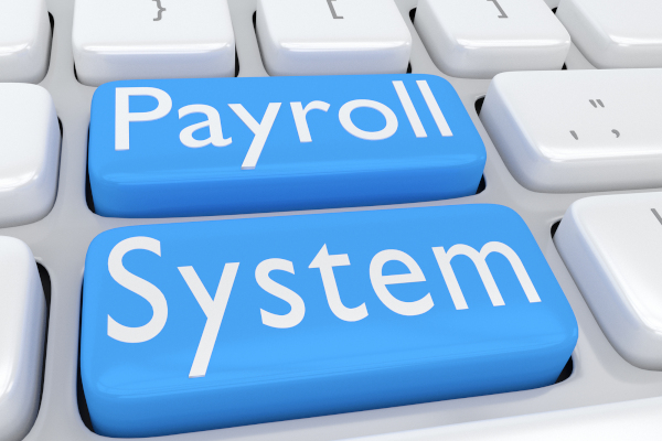 Payroll Processing Service